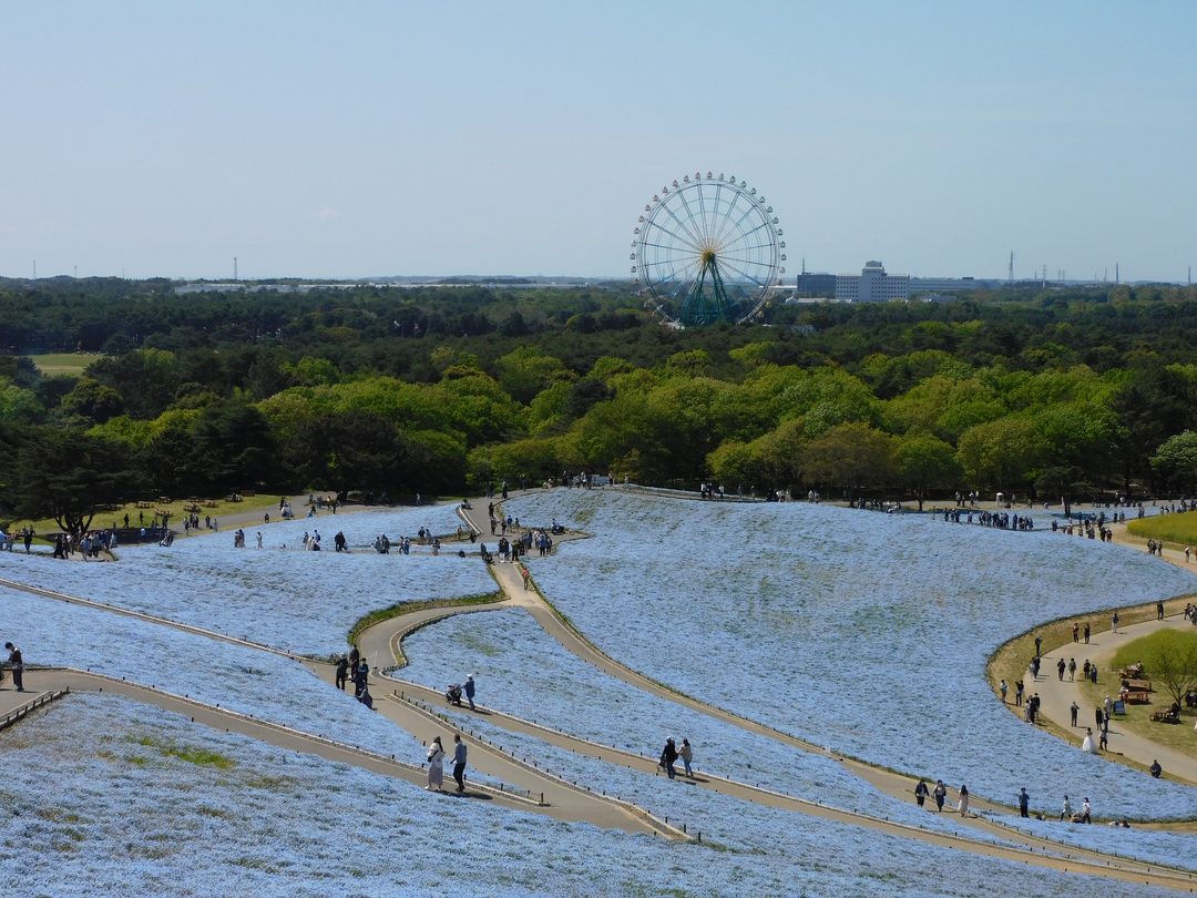 Hitachi Seaside Park