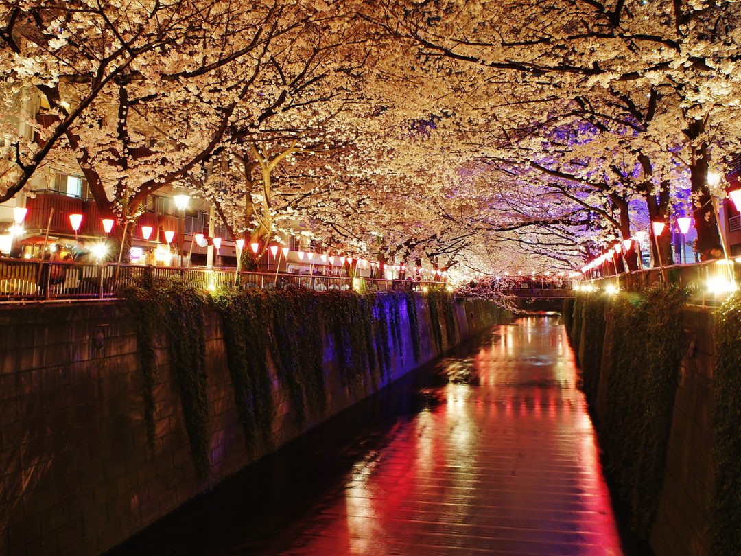 Meguro River
