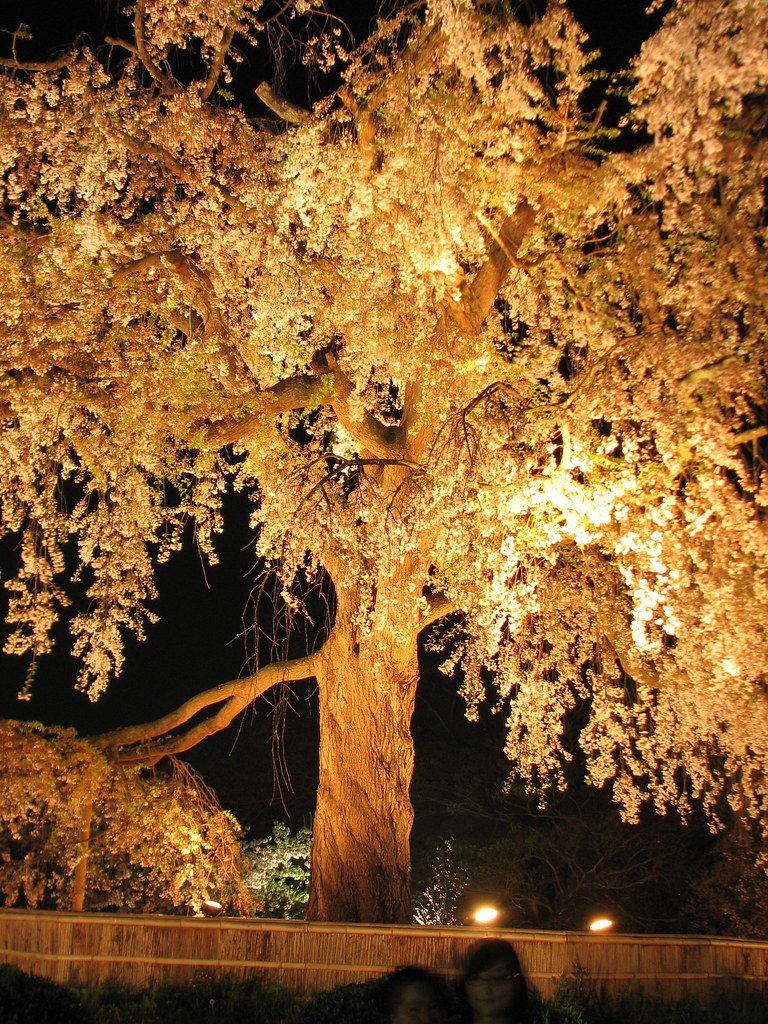Maruyama Park