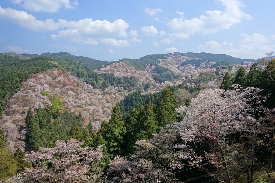 Mount Yoshino