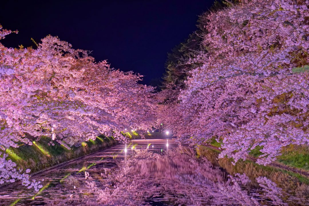 Hirosaki Castle Park